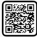 Daily Mini Vlog Trending Vn Code - 2026